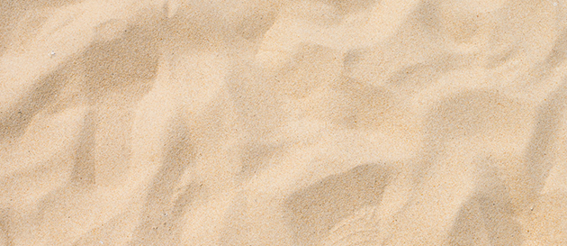 資源リスクへの対応